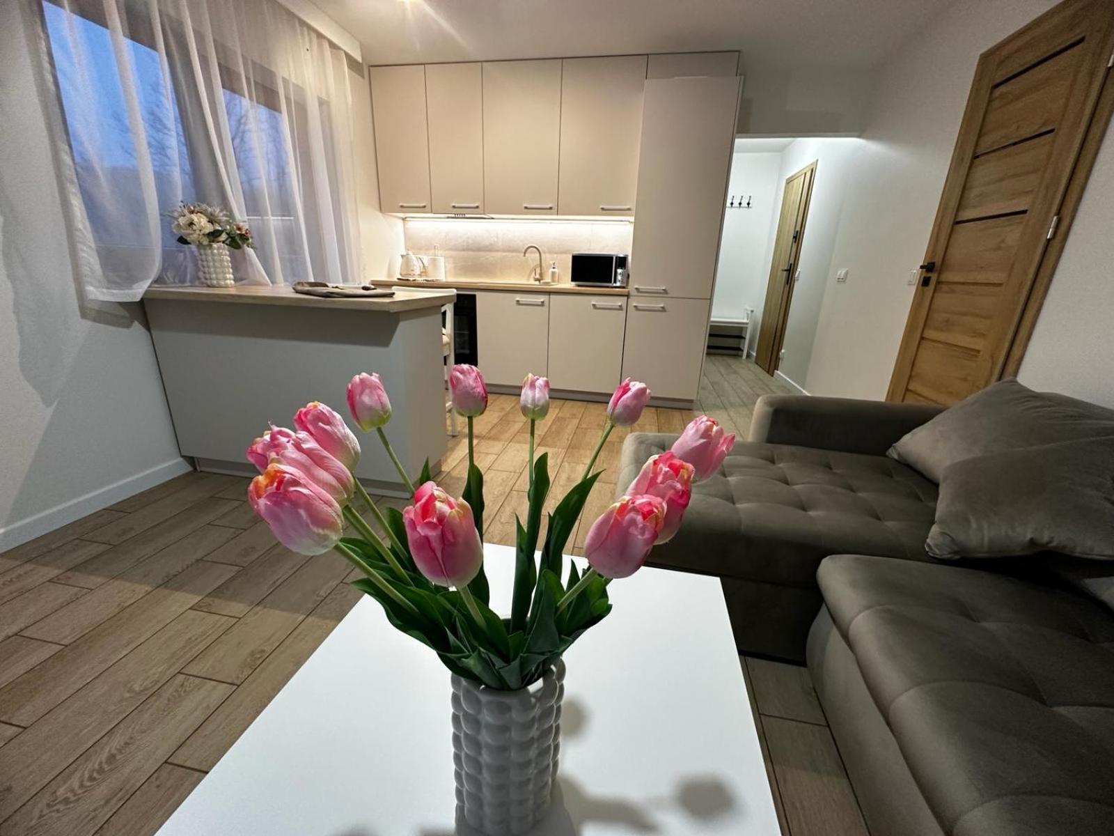 Apartamenty Biala Gran Zakopane Bagian luar foto